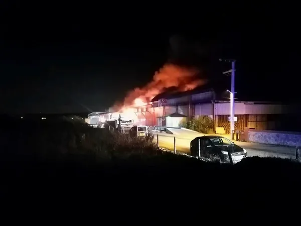 hatayda-soguk-hava-deposunda-yangin-1641707332652.jpg Hatay'da soğuk hava deposunda yangın-2