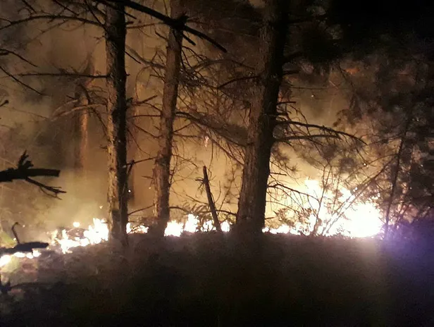 son-dakika-izmirdeki-orman-yanginina-4-tutuklama-1601551821160.jpg Son dakika: İzmir'deki orman yangınına 4 tutuklama-1