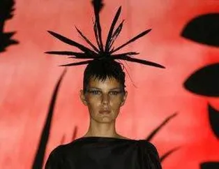 Kırmızının Asilliği