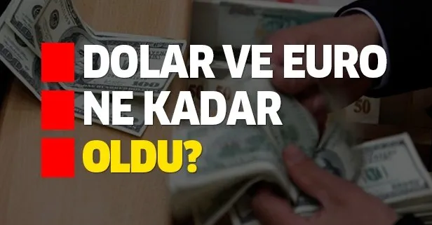 Dolar ve euro ne kadar oldu?