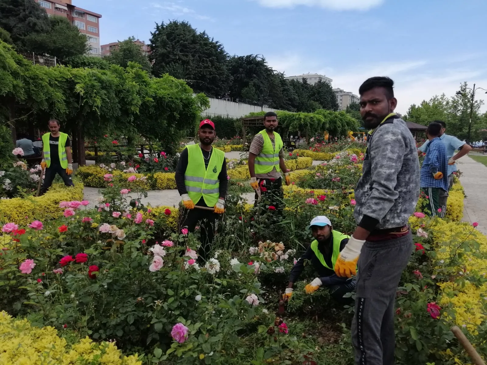 İstanbul Büyükşehir Belediyesi kaçak ve sigortasız işçi çalıştırıyor - 7