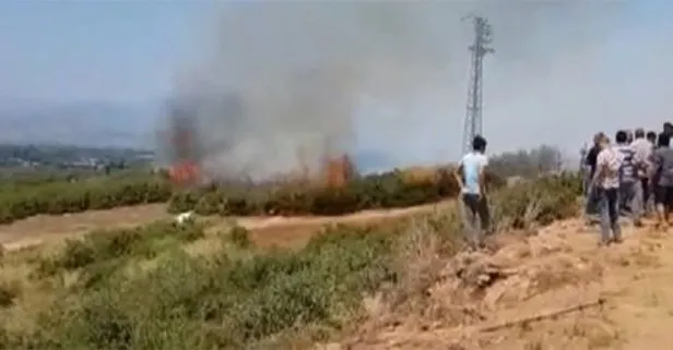 İzmir’de makilik yangını
