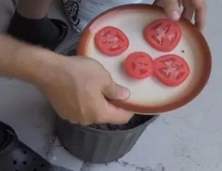 Bunları biliyor muydunuz?
