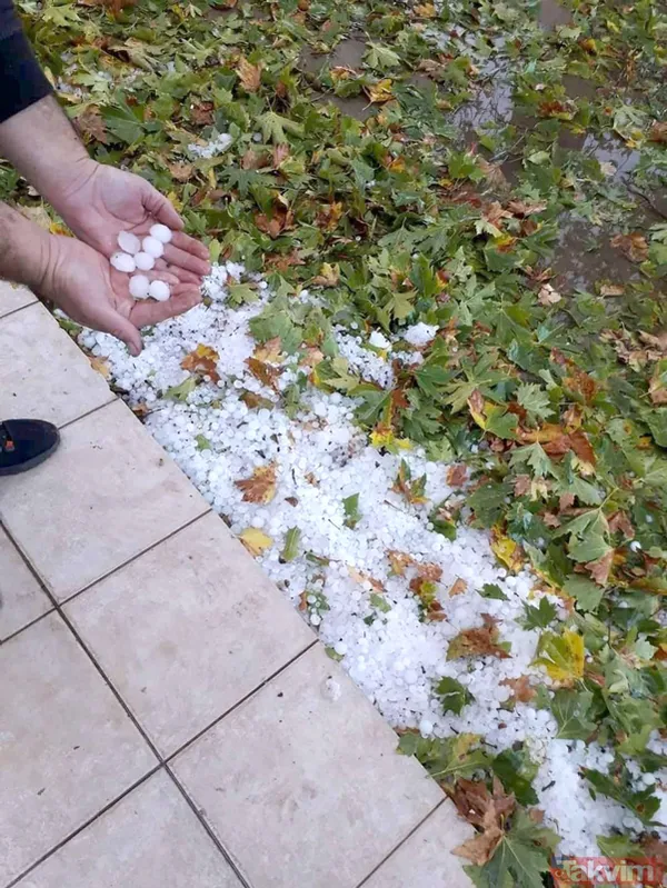 SON DAKİKA: Edirne'de sabaha karşı dolu yağdı! 10 bin dekar çeltik ziyan oldu - 7