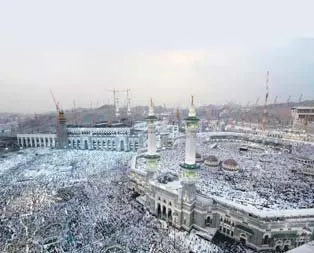 Vinçlerin gölgesinde