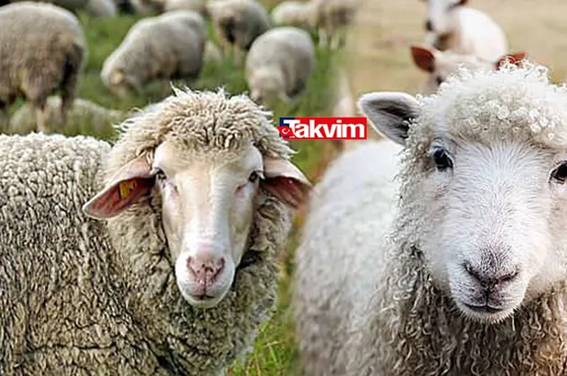 Kurban Bayramı resmi tatili kaç gün olacak 2021? Kurban Bayramı tatili 9 gün mü olacak?