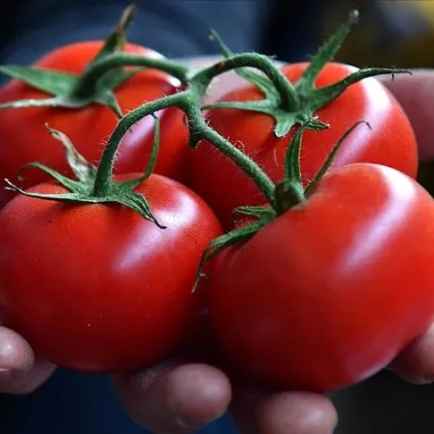 Her derde deva domates