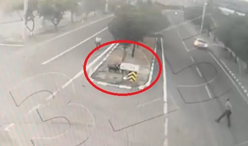 Mama lobisinin medya ayağı sokak köpekleri için ayaklanma çağrısı yapıyor ipini koparan köpekler vatandaşa saldırıyor! | RTÜK Başkanı Şahin'den tepki-9