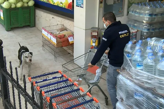 İstanbul Ataşehir'de pitbull paniği!
