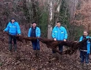 İçme suyu hattından çıktı!