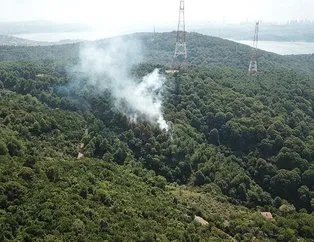 İstanbul’da korkutan orman yangını