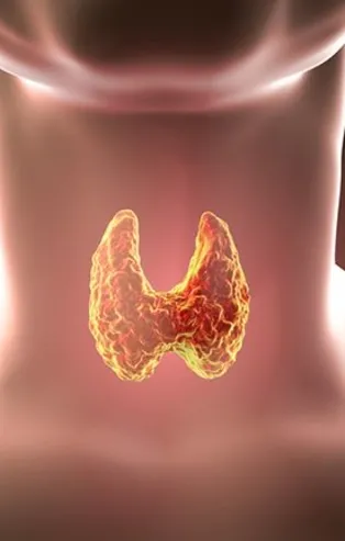 Tiroidi yakından tanıyın!