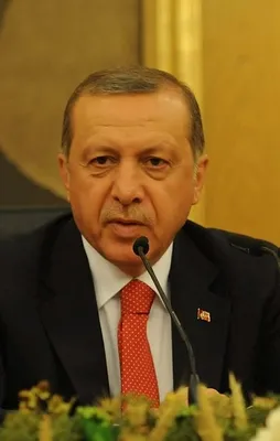 Erdoğan: El Bab an meselesi
