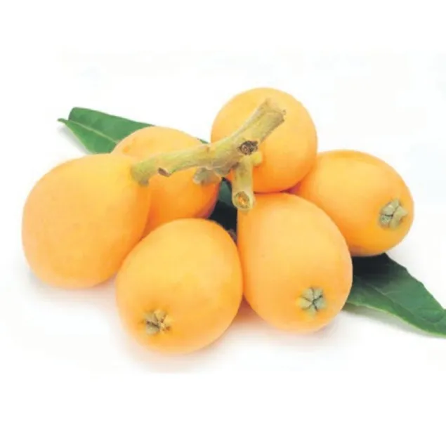 Stressavar yenidünya