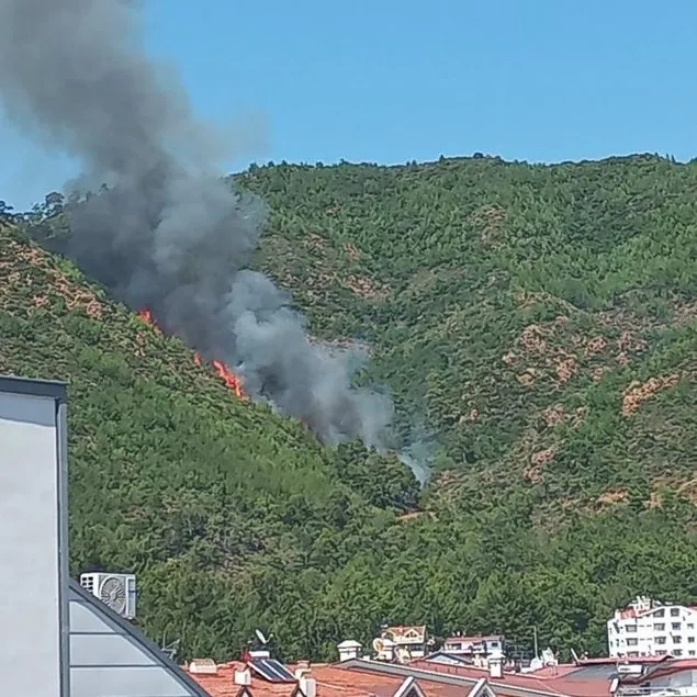 Orman yangınında kan donduran detay!