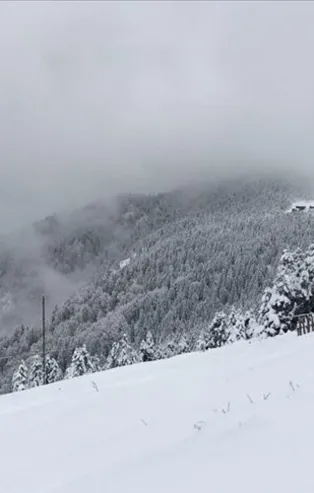 Meteoroloji uyardı! 4 ilde çığ tehlikesi