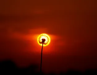 Zamanlaması Manidar Fotoğraflar