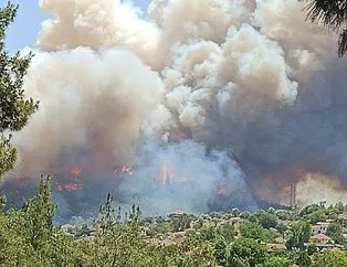 İzmir ve diğer illerde alevler kontrol altına alındı! Menderes’i yakan ’hobi’ Çeşme’de izmarit izi: Bakan ’haftaya dikkat’ diyerek uyardı