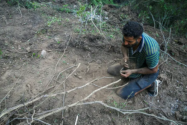 İzmir'deki orman yangını için avuçlarıyla toprak toplayan Suriyeli Hasan gündeme damga vurmuştu! İşte yürek burkan hikayesi!-2