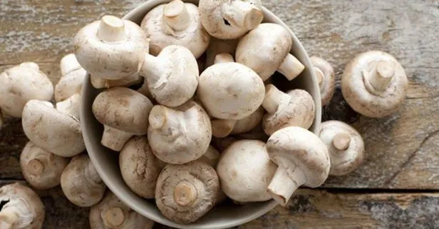 Mantar kanseri önler