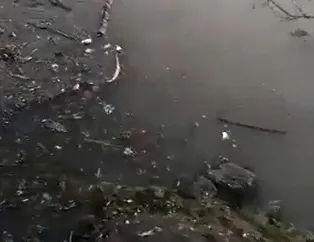 CHP’li İBB Haliç’i kaderine terk etti!