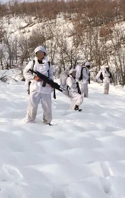 PKK'nın silah depolarına operasyon
