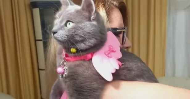 Görülmemiş doğum günü! Kedi için parti düzenlediler