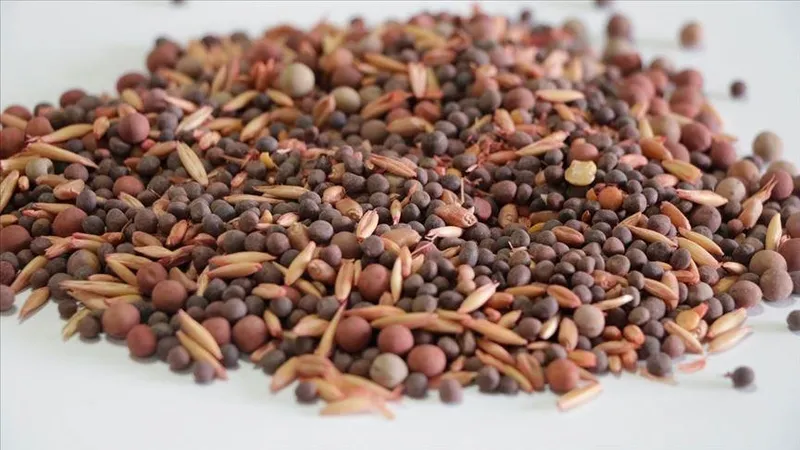 ureticiden-sofraya-deger-ureten-guc-tarim-krediden-tarimsal-sanayide-3-yilda-600-milyon-dolarlik-yatirim-1744212279509.jpeg Üreticiden sofraya değer üreten güç! Tarım Kredi'den tarımsal sanayide 3 yılda 600 milyon dolarlık yatırım-1