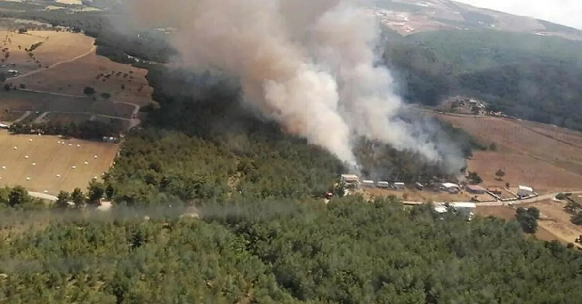 İzmir Bornova'da yangın