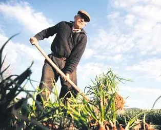 İşçilerin zammı tamam