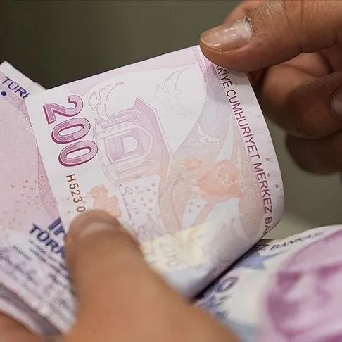 Engellilere hibe desteği