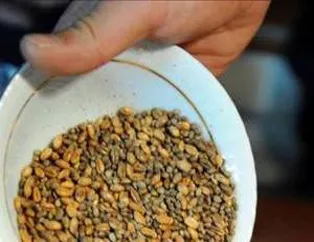 Diyeti bozmayan atıştırmalıklar
