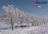 Bitlis'te dondurucu soğuk