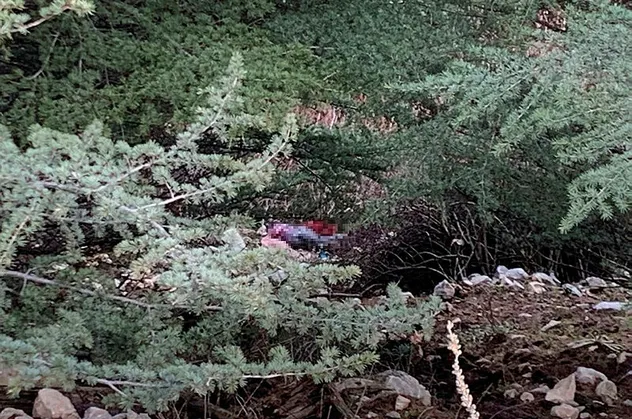 Isparta'da 13 gündür aranan Gülsüm Doğan'ın cesedi bulundu