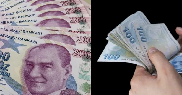 103 TL'den 4270 TL'ye kadar destek müjdesi! 18 yaşını dolduran herkes parasını PTT'den alabilir! Zamlı olarak hesaplara geçiyor!-2