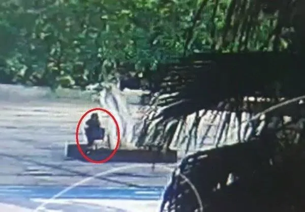 chpnin-mersinde-kuruttugu-agac-olayinda-yeni-gelisme-belediye-calisani-itiraf-etti-1658312377664.jpeg CHP'nin Mersin'de kuruttuğu ağaç olayında yeni gelişme! Belediye çalışanı itiraf etti-5