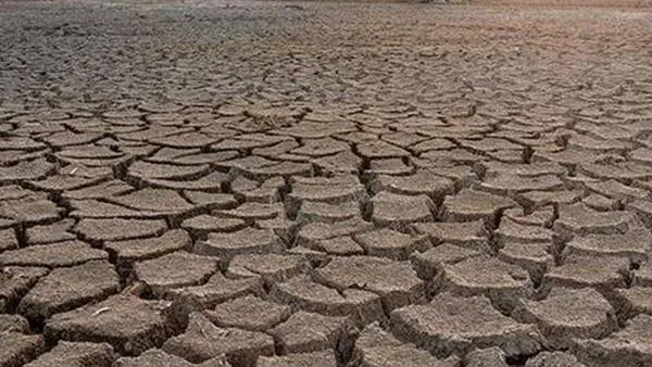 Kuraklık desteği yattı mı? Kuraklık desteği kimlere verilecek, başvuru şartları neler? Ödeme sorgulama ekranı…-4