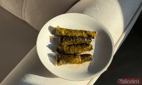 Kalem gibi incecik yapmanın sırrı buymuş! Çerez gibi yenen sarma tarifi - 10