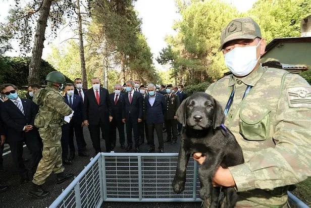baskan-erdogandan-bursada-kopek-uretim-ve-egitim-tabur-komutanligina-ziyaret-1595088829465.jpeg Başkan Erdoğan'dan Bursa'da Köpek Üretim ve Eğitim Tabur Komutanlığına ziyaret-4