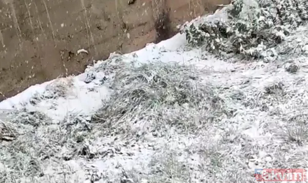 Doğu Karadeniz'e kar düştü! Yaylalar beyaza büründü - 2