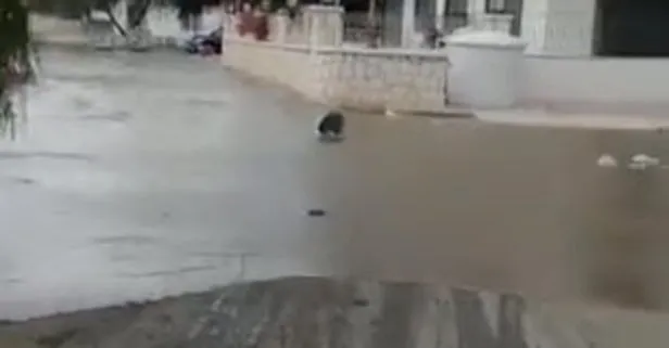 İzmir Seferihisar’daki deprem sonrası Sığacık’ta deniz suyu karaya geldi