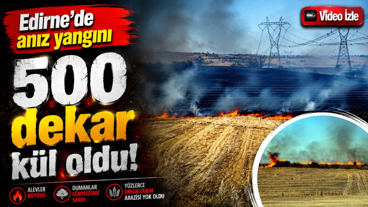 Edirne'de anız yangını: 500 dekar kül oldu