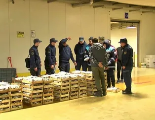 Marmara Denizi’nde balık avı denetimi