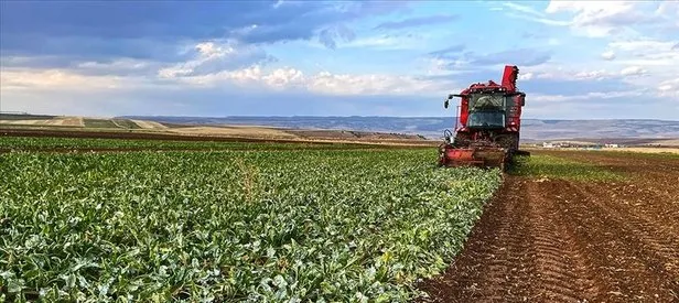 Tarımsal destek ödemeleri hesapta
