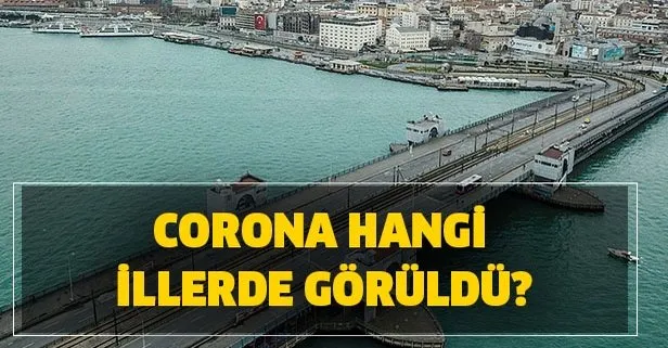 Corona hangi illerde görüldü?
