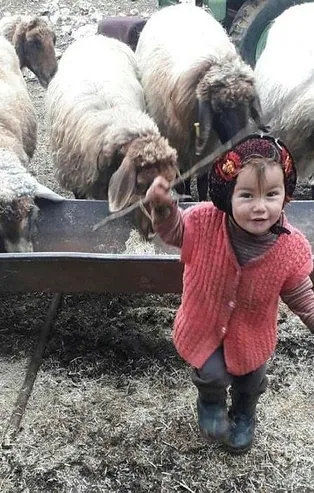 Türkiye'yi derinden sarsan Müslüme cinayetinde flaş iddia! Olay yerinde yapılan keşifte...