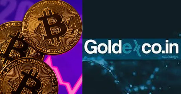 Thodex-Vebitcoin'in ardından Goldexco.in depremi: Goldexco.in battı mı? GLDX Token alım satımı durdu mu? Sahibi kim?