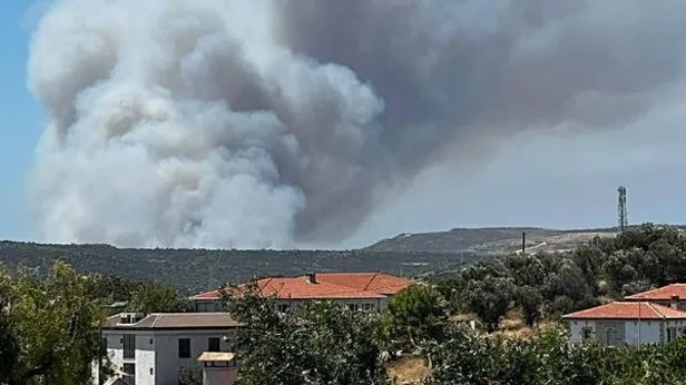 Çeşmede orman yangını: 3 kişi hayatını kaybetti | 4 kişi gözaltında | Kimlikleri belirlendi: Acı detay!