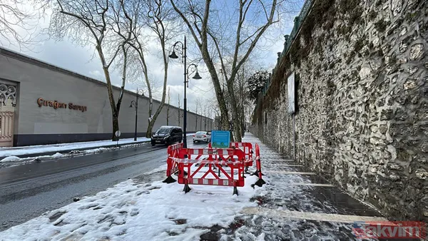 CHP'li İBB'nin ağaç katliamına sessiz kalan sözde çevrecilerin ikiyüzlülüğü! AK Parti: "Bu zihniyet, nobran bir zihniyettir” - 9
