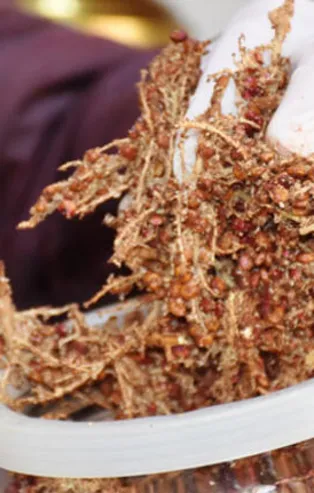 Koronavirüse iyi geldiği iddiasıyla satış patlaması yaşayan sumak hakkında uzmanlardan kritik uyarı!